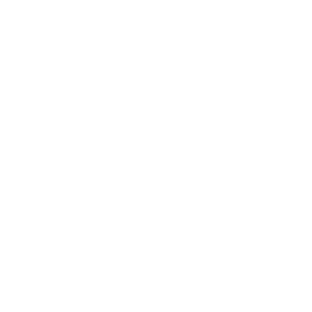 TOKYO SOLID